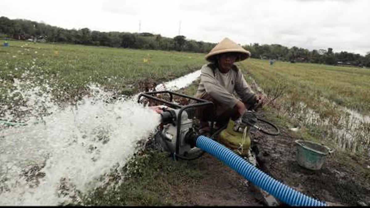 Kementan Bakal Jalankan Pompanisasi Pertanian Guna Atasi Dampak El Nino